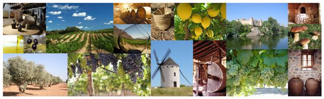 Collage "La España Gastronómica", de Jose Luis Tiñana